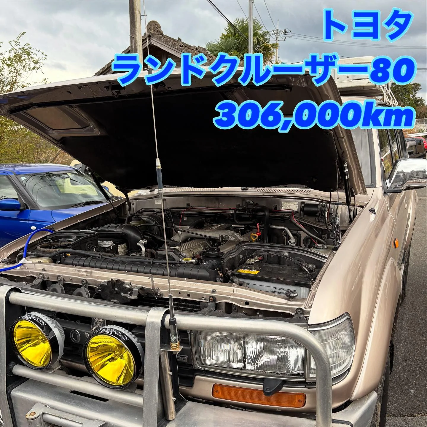 37_01.webp