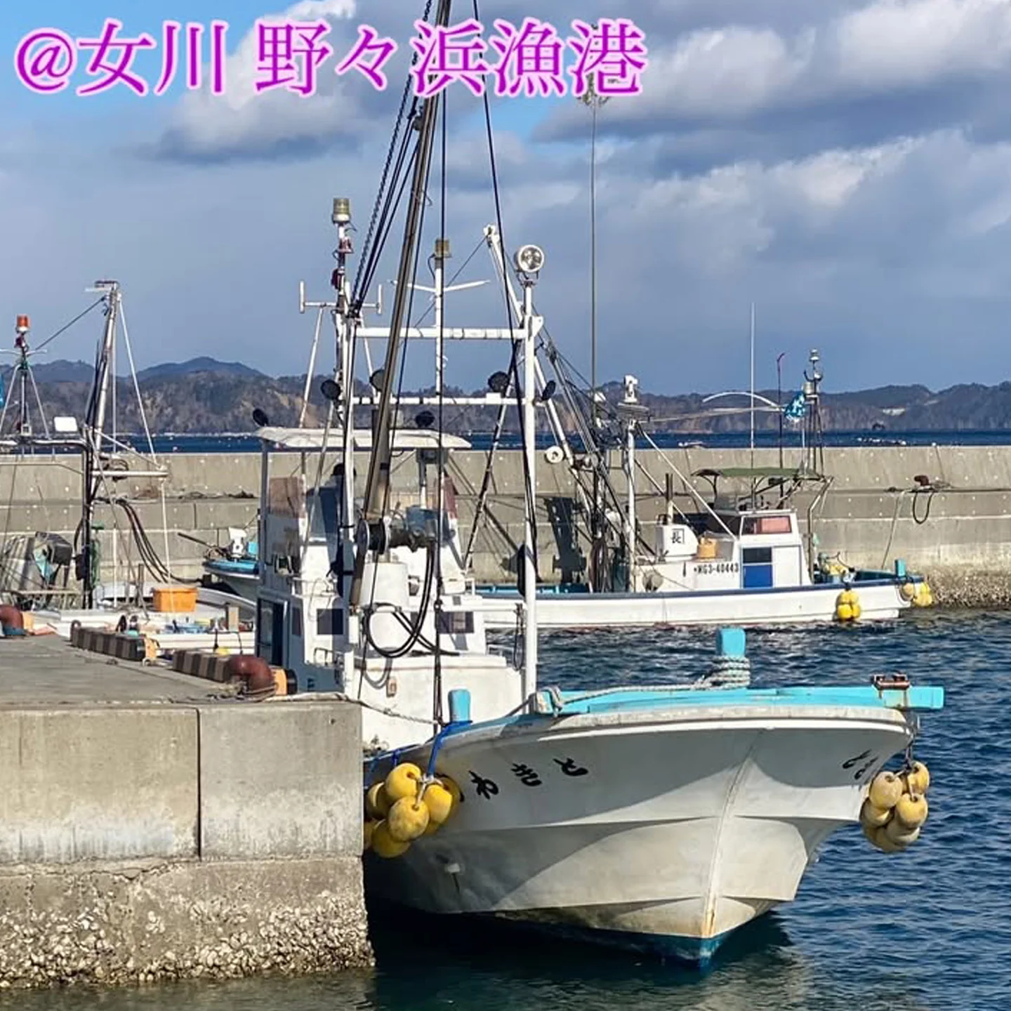 47_01.webp
